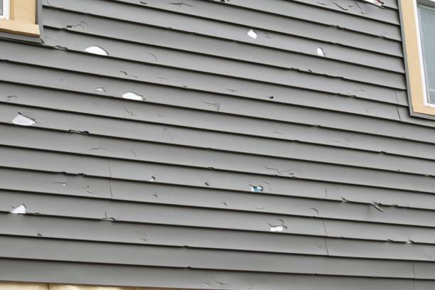Best Siding for Commercial Buildings  in , WA